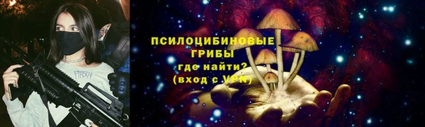 ALPHA-PVP Вяземский