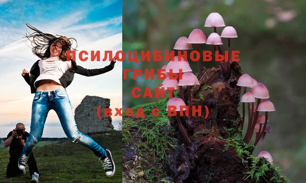 спиды Вязники