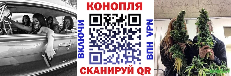 Шишки марихуана план Избербаш